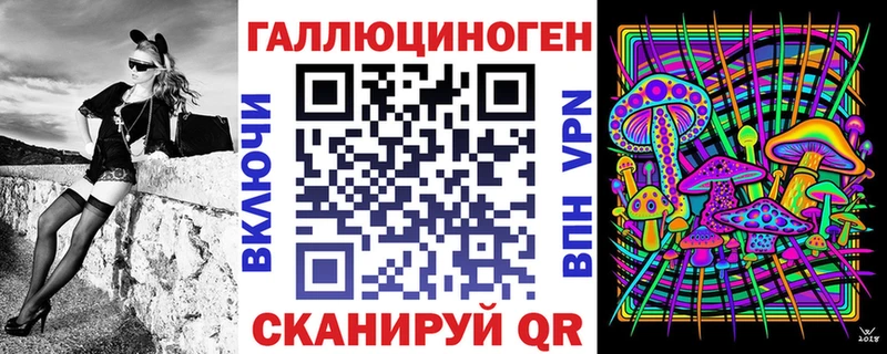 Псилоцибиновые грибы Psilocybine cubensis  Исилькуль 